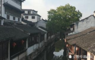 独眼萌怪吃金币